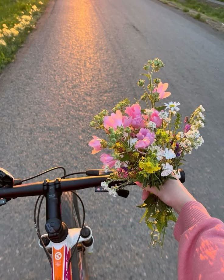 FAEZJDydtc8jZks's tweet photo. هل اخبرتك
 أن الدروب كلها تأخذني إليك 
حتى تلك التي اسلكها لنسيانك https://t.co/Unprjm6HVH
