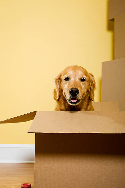 IPalmieroapkb's tweet photo. 奈良の洞窟が息をのむような輝きを放つ。 https://t.co/6Qv34dKFYa