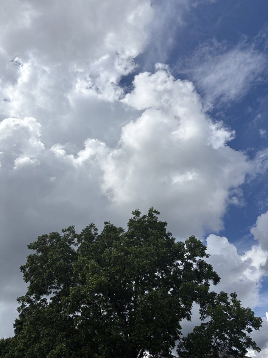 CorruptedLili's tweet photo. The best part of the day. Cloud watching and smoking. :3 https://t.co/RCVFgDPOI0