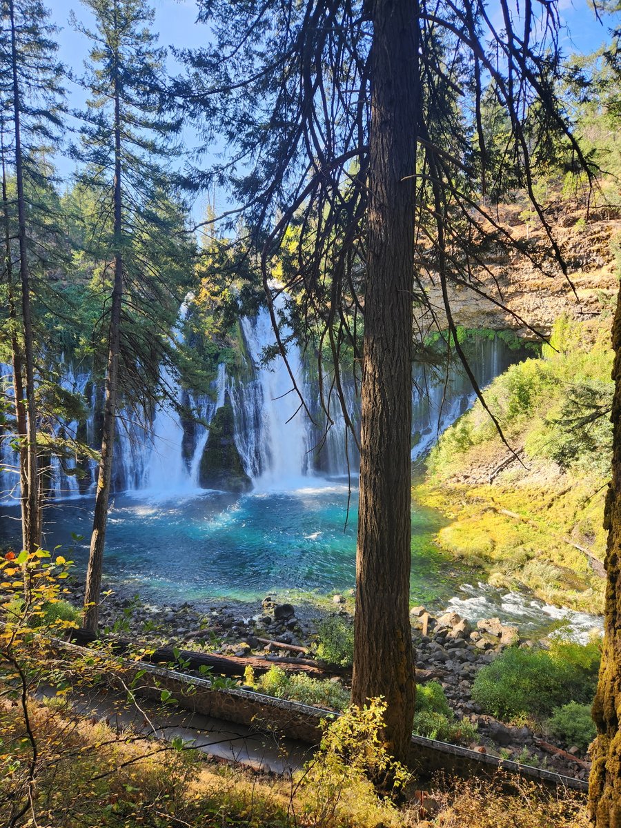 logs_big's tweet photo. One of the perks of what we do is where the work takes us.
A recent project brought us to Northern California, with views like this just a hike away. Not a bad way to stretch your legs after a day on the job.
#BigCabin #NorthernCalifornia #CustomHomes #LuxuryLogHomes https://t.co/30GXqL4olQ