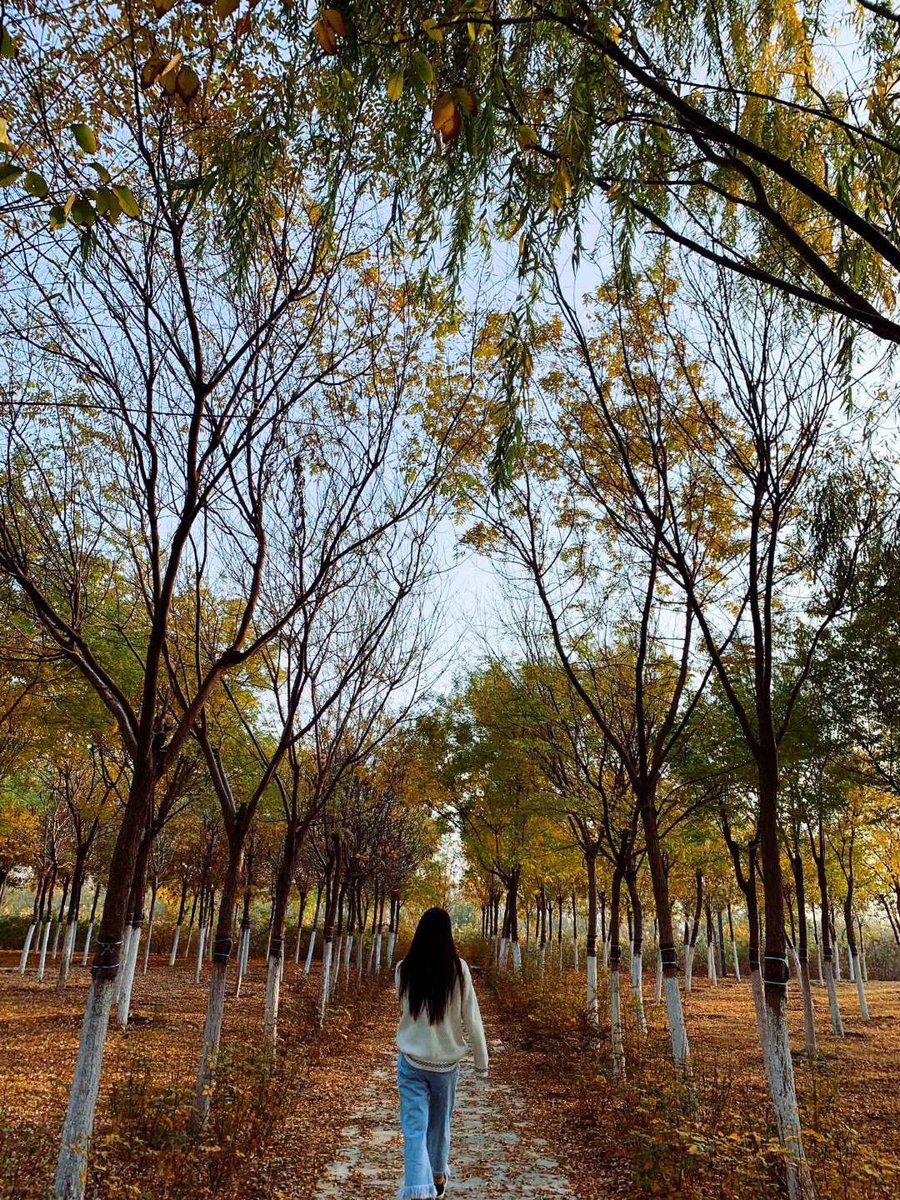 qwer40339639's tweet photo. Growth isn’t about being perfect—it’s about falling and picking yourself up, one small step at a time. Every stumble is a lesson. https://t.co/18UbGjMjVI