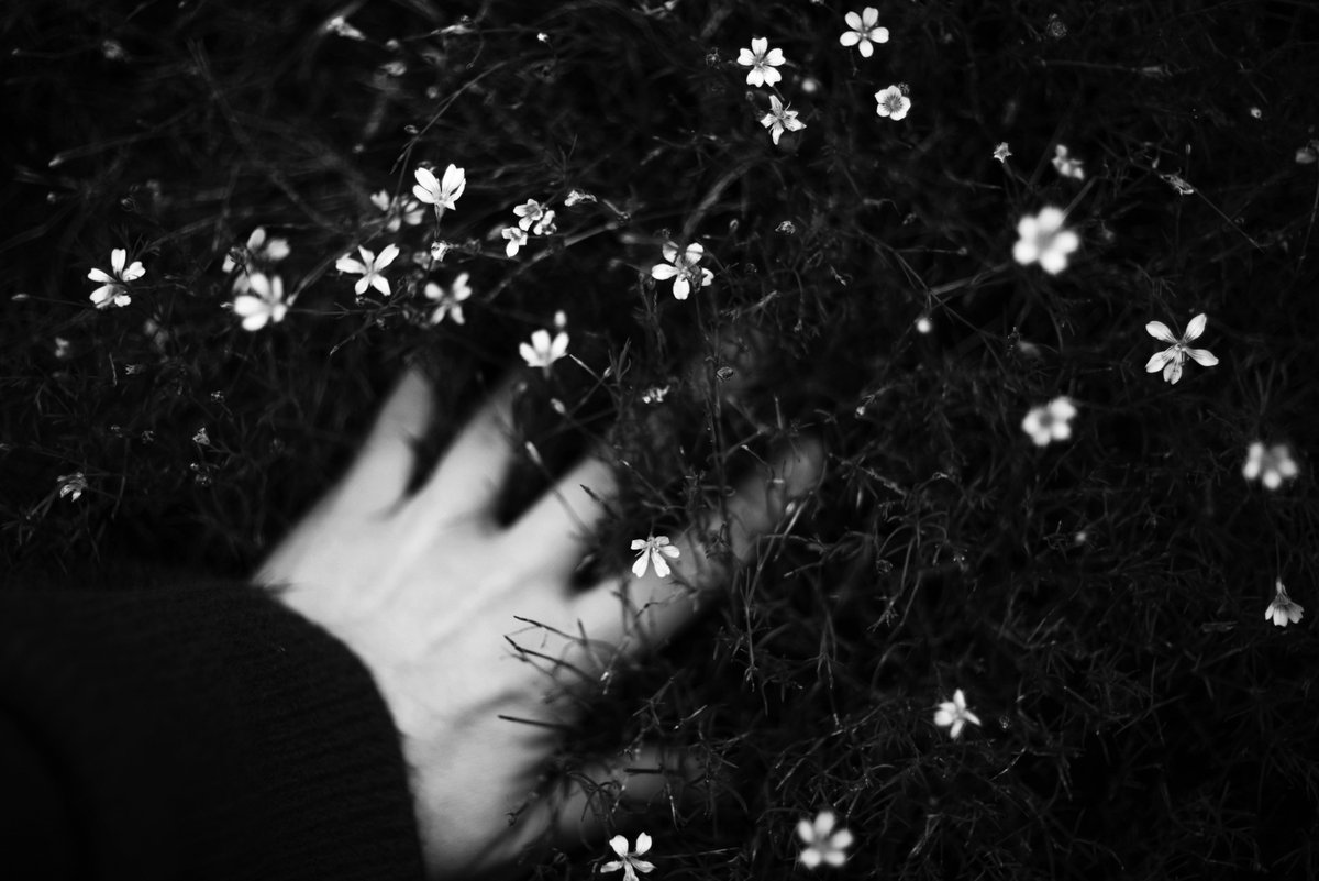 wierfester's tweet photo. "My crime was feeling everything too deeply, my punishment was surviving it."

 — Fyodor Dostoevsky https://t.co/PPJhl8wisp