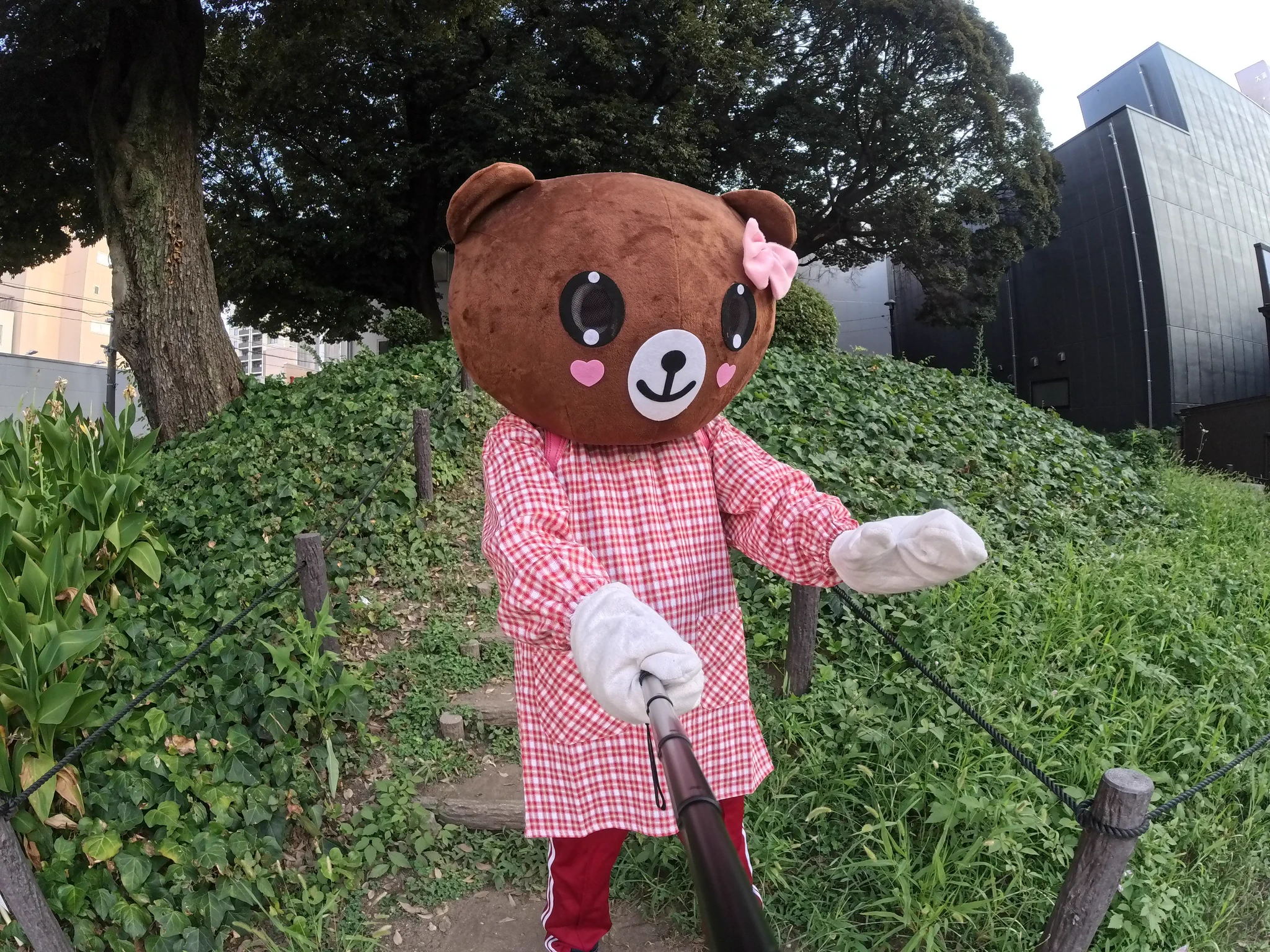 AZ FLASH（クマの着ぐるみはなこ） on X: 