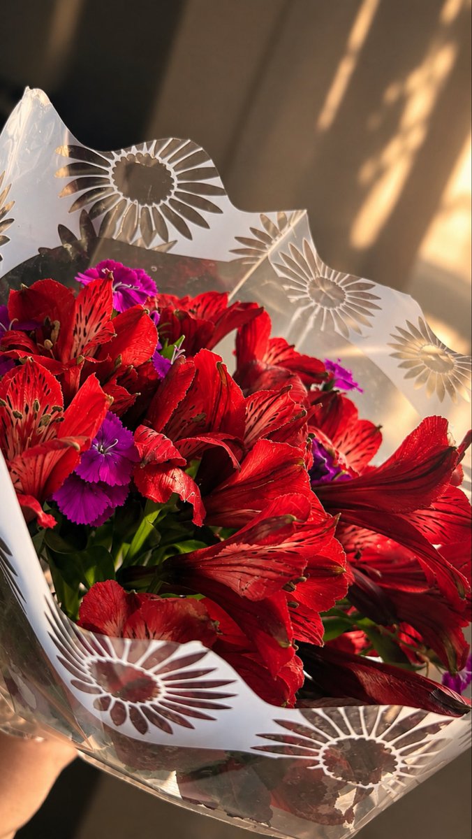 LucianaaaV_'s tweet photo. Las flores más lindas, porque vienen de él 💗🥹 https://t.co/YNuB2UdZIM