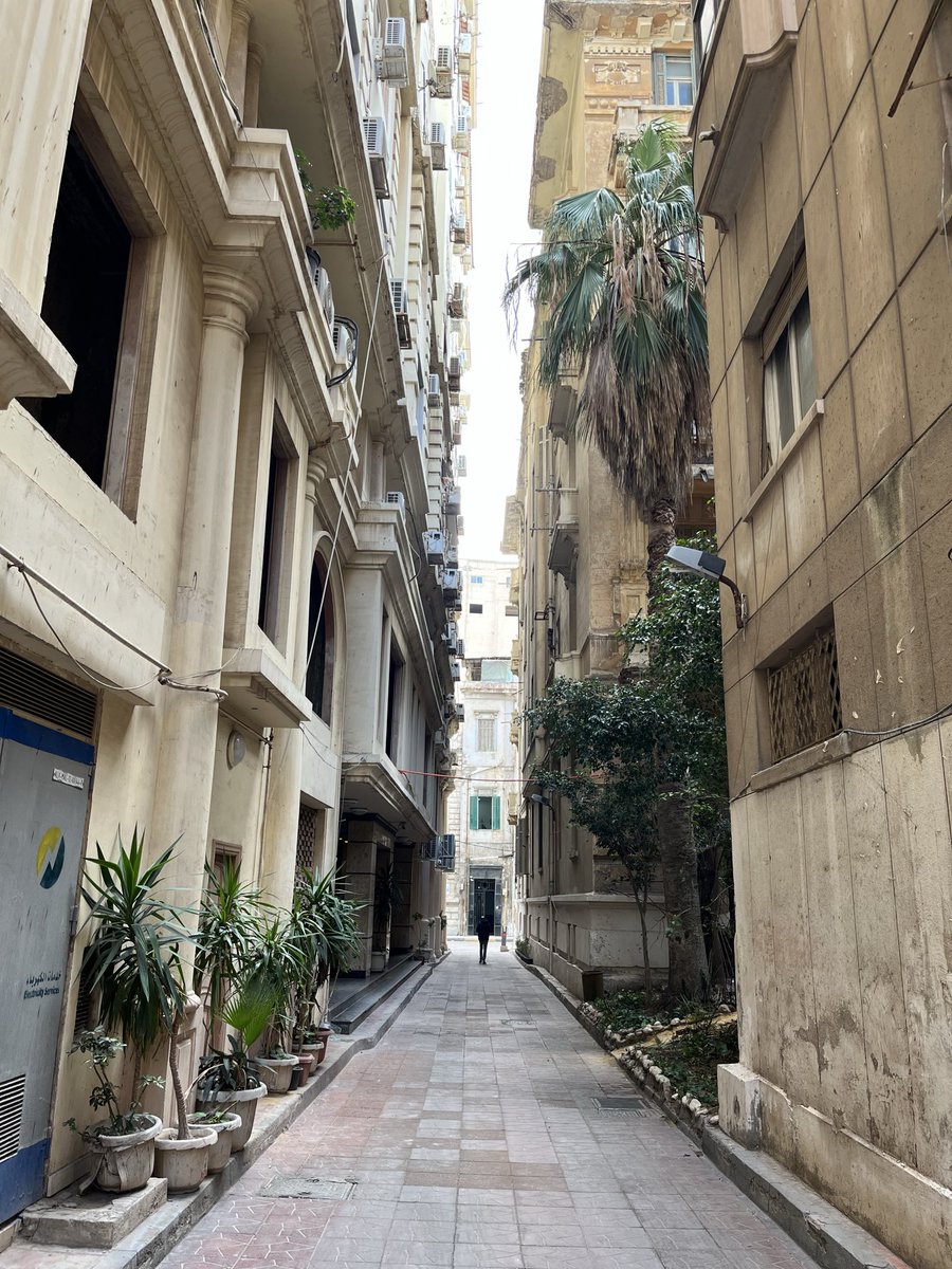 appaliuna's tweet photo. iskenderiye gettolarından geçerken fotoğraf çekemediğim için hala kendime kızsam da birkaç güzel downtown fotoğrafı bırakayım

şehir, tek başına, beni bir
süreliğine helenistik dönem çalışmaya ikna etmişti, büyüsünden yeni yeni kurtuluyorum

fazla romantik olmamak lazım, mümkünse https://t.co/PSI1Ji9vGm