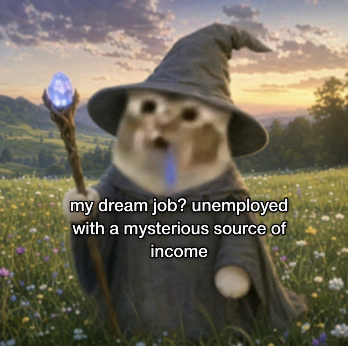 droolingcatCTO's tweet photo. https://t.co/W3Xf0j3Jlu