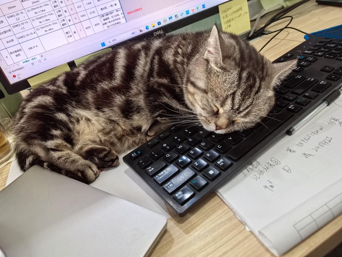 JonahRookaci9w's tweet photo. Momento de descanso rápido, sin prisas. https://t.co/RVr7cEuuHt