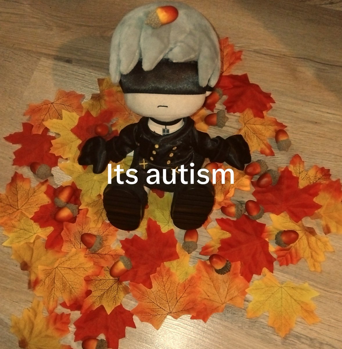 Giogiochan_9S's tweet photo. Its autism !! https://t.co/k9ZuFbqNXO