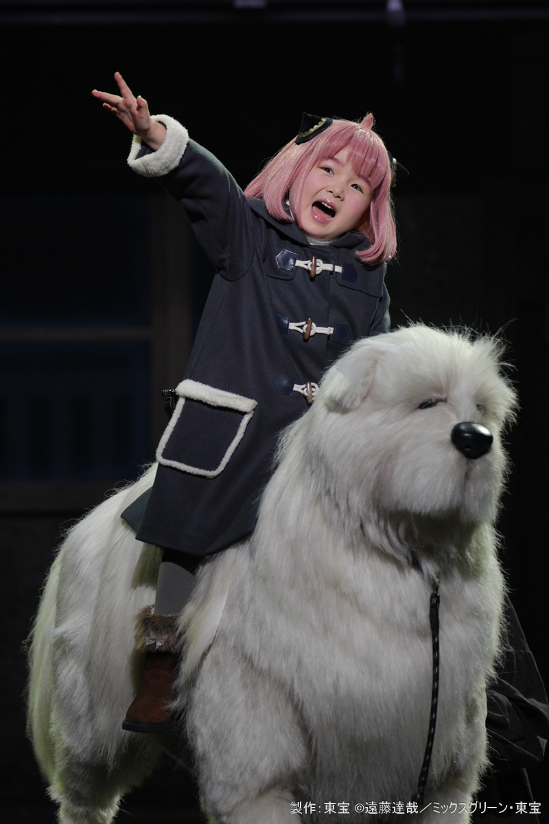 okepi_staff's tweet photo. ミュージカル『SPY×FAMILY 2 爆弾犬篇＆豪華客船篇』ゲネプロレポート
▶https://t.co/LrpgzxnueT

スパイ、殺し屋、超能力者──《仮初めの家族》が帰ってきた！

音楽、笑い、アクション、そして物語の奥に流れる平和への願い。生身の俳優たちが立ち上げる『SPY×FAMILY』の世界！
#ミュージカルSPY https://t.co/JaiHMxjjjv