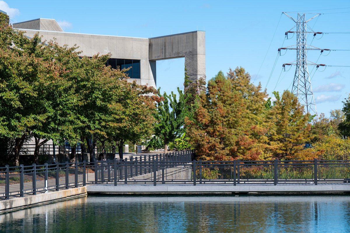 nkuedu's tweet photo. Fall has officially arrived. 🍂

Happy first day of fall, Norse!

#NorseUp https://t.co/85sgI3koKi
