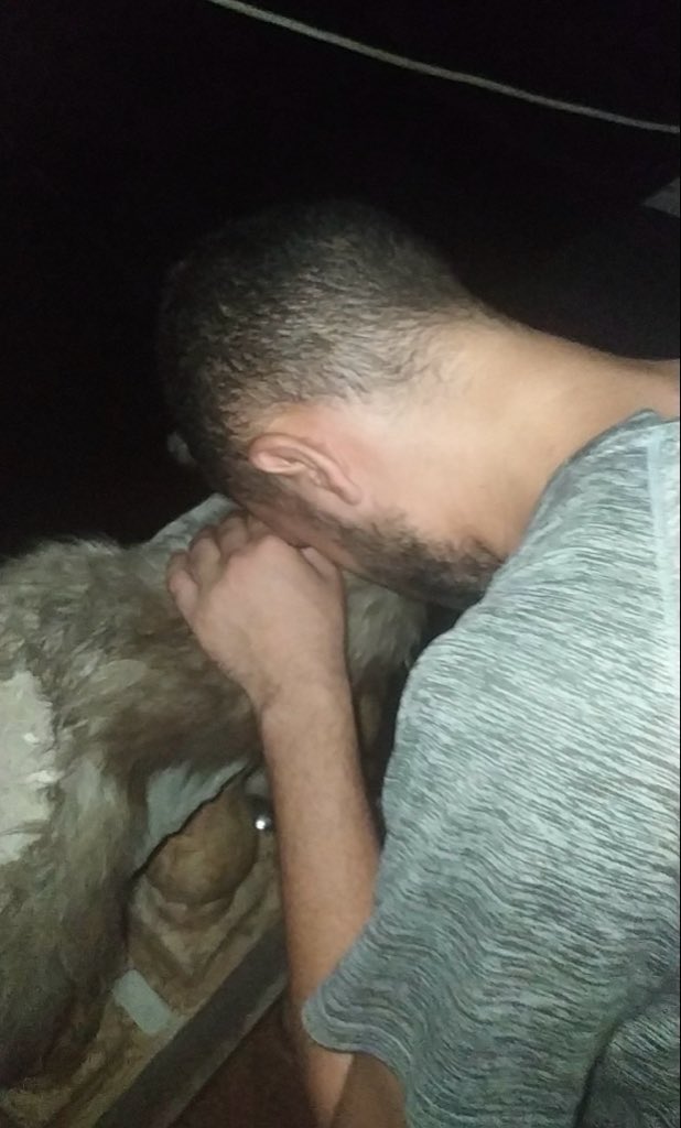 yousefmohmoud25's tweet photo. 🐾💔 Bisou... My friend who is collapsing before my eyes 💔🐾

Today, I went to the vet and came out with words that were too heavy to bear... Bisou's condition is very critical 😢, and her weak body can no longer resist 🥺. The doctor told me that her life is at stake, and that she could pass away at any moment.

I can't imagine my world without her 😔. Bisou is more than just a pet; she is my companion in moments of loneliness, my support in difficult times, and my laughter when joy is absent. I cry for her every night 😭, feeling helpless in the face of her pain 💔.

I am writing to you today, placing my heart in your hands 🙏. If there is an ounce of humanity in your hearts, please help me save Bisou's life. Any donation, no matter how small, means the world to me. It may be the reason for her heartbeat to continue, and for hope to continue.

 Biso deserves another chance... and I need it more than you can imagine .

https://t.co/DxBw7rZJXp

https://t.co/gXoEgiEY9D