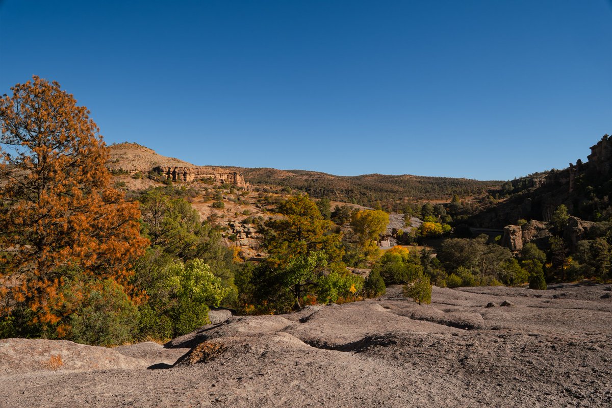 VisitMex's tweet photo. Este otoño, déjate sorprender por Chihuahua. 🍂✨
Descubre montañas, pueblos, caminos y paisajes que se transforman con los colores de la temporada.

Si buscas un destino diferente, Chihuahua es para ti. ¡Conócelo! 🤎

-

This fall, let Chihuahua surprise you. 🍂✨
Discover mountains, towns, scenic roads, and landscapes transformed by the colors of the season.

If you're looking for a different kind of destination, Chihuahua is for you. Come discover it! 🤎

#VisitMexico #MéxicoEstáDeModa #Chihuahua #OtoñoEnMéxico #DescubreMéxico