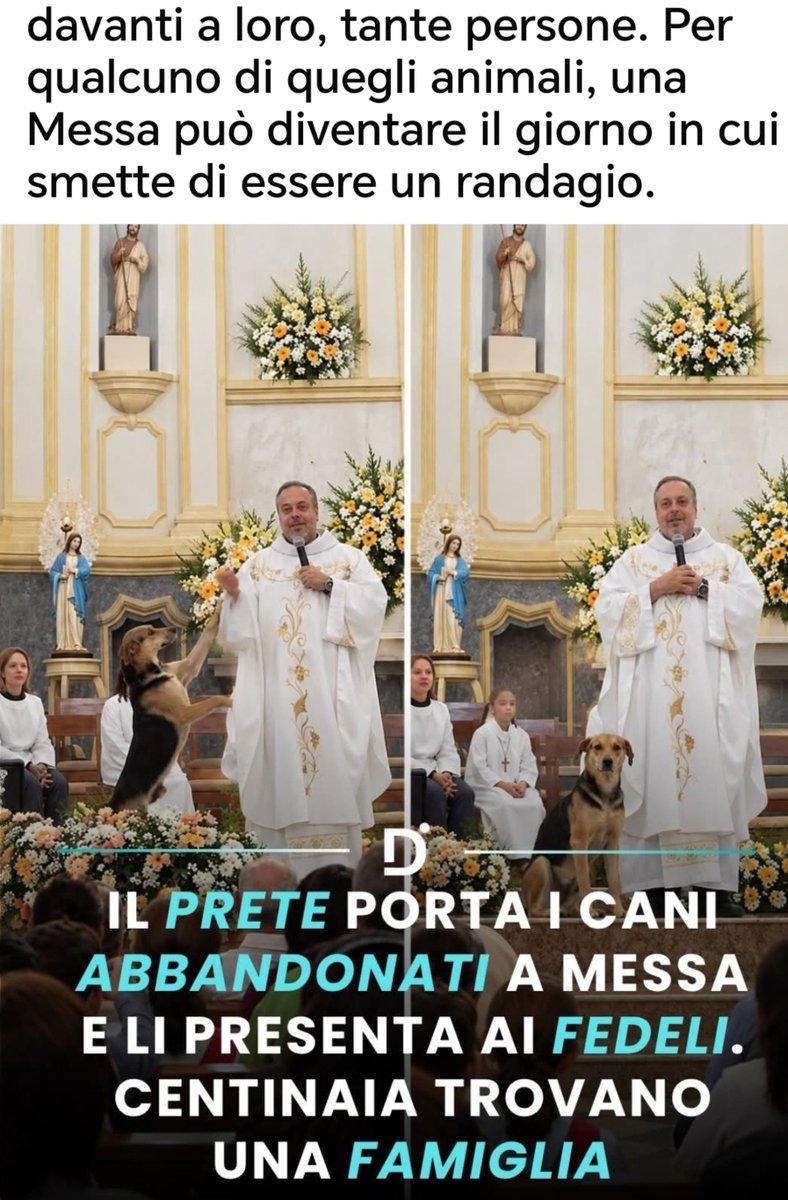 GiuliaPugl3006's tweet photo. E mentre vedevo gli aggiornamenti sul  maltempo,guarda che bella questa iniziativa del parroco x i cuccioli 🙏❤️
@carmelitadurso https://t.co/iO0Oxt9a6T