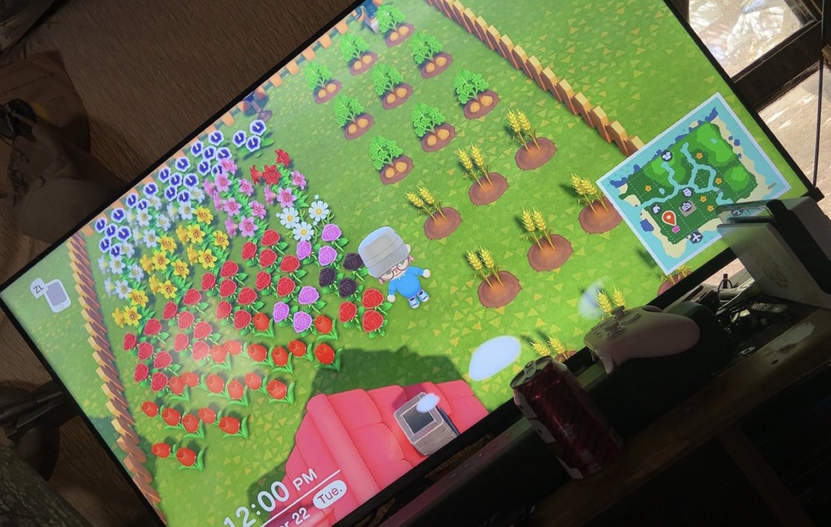 galaxyrose0000's tweet photo. •#animalcrossingnewhorizons #animalcrossing #cozygamergirl #cozygamer #foryoupage https://t.co/OLPz7R2XNl