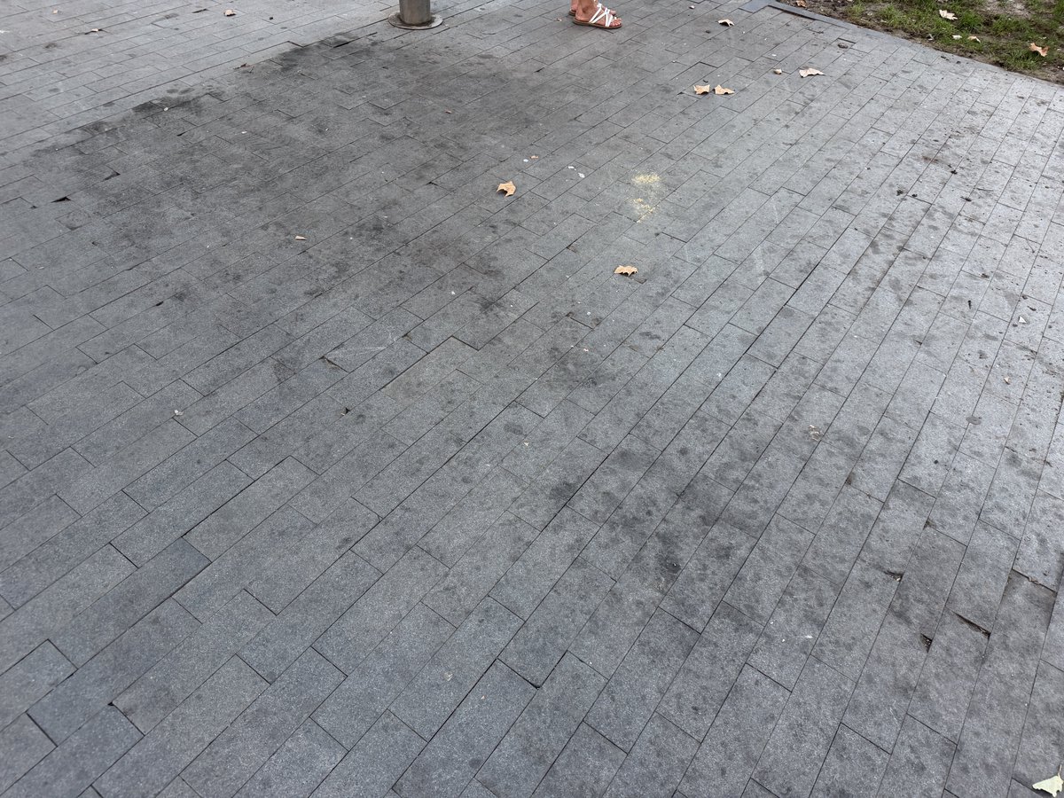 VAabandonada's tweet photo. Este es el estado de la céntrica Acera de Recoletos 9 días después del final de las fiestas
#Valladolid #VAabandonada https://t.co/5eGt1QzDiN