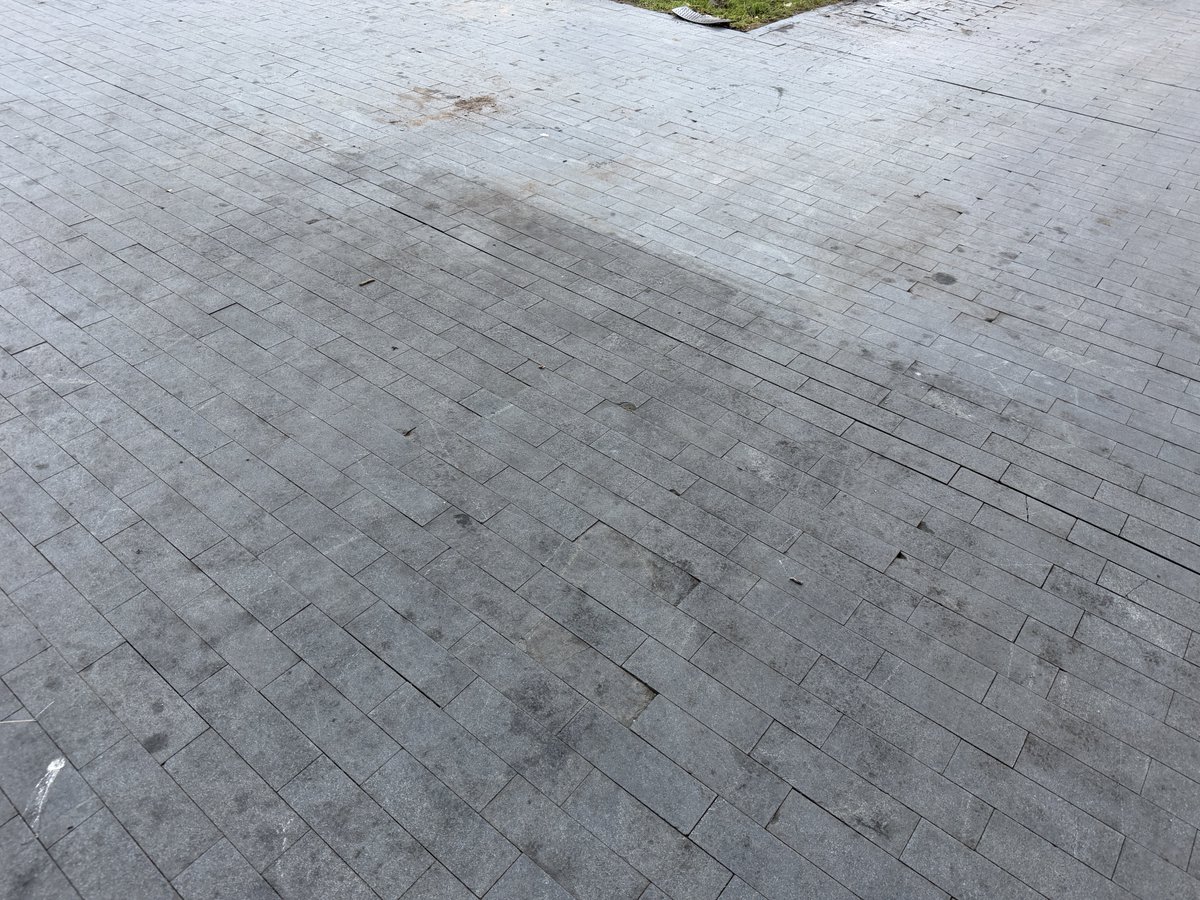VAabandonada's tweet photo. Este es el estado de la céntrica Acera de Recoletos 9 días después del final de las fiestas
#Valladolid #VAabandonada https://t.co/5eGt1QzDiN