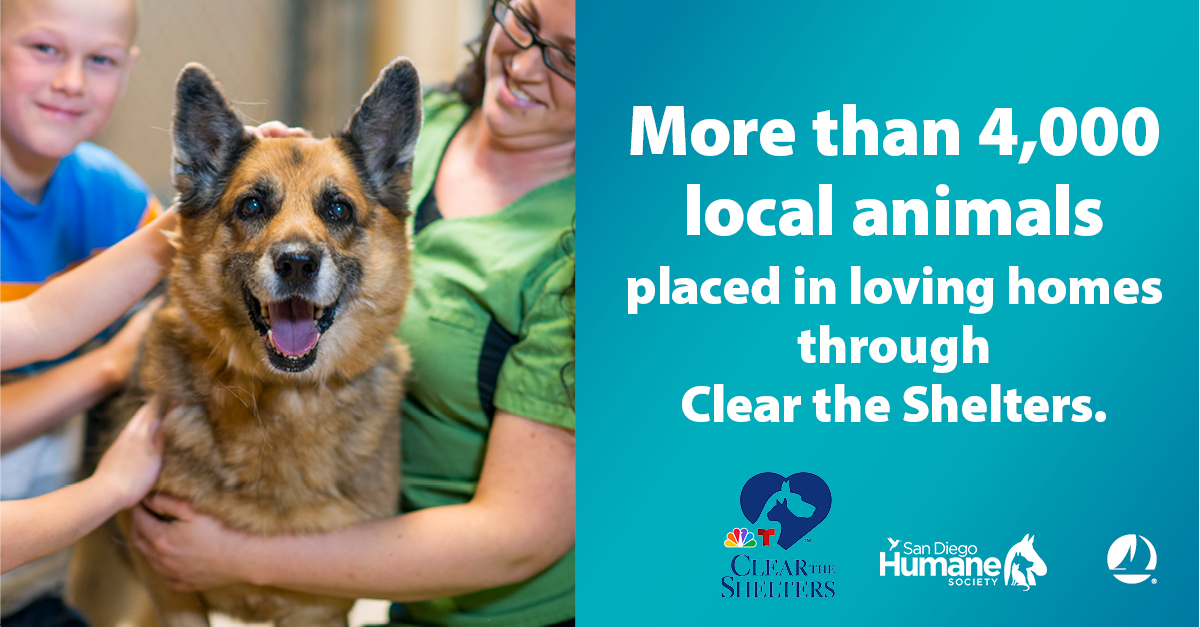 sdccu's tweet photo. SDCCU proudly partnered with NBC7 and Telemundo 20 on the #CleartheShelters initiative. San Diego Humane Society celebrated 323 adoptions during the oneday event across all campuses, with more than 4,000 animals finding loving homes throughout the month-long campaign! https://t.co/s5twV2kG6b