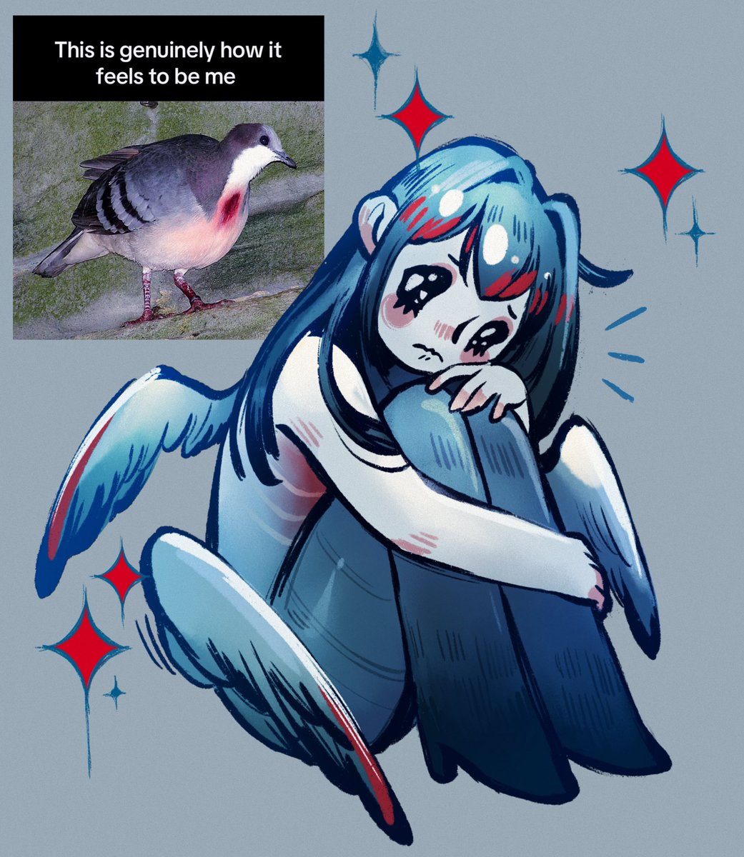 feefal_'s tweet photo. Bleeding heart dove🩸she’s a sensitive soul, so be nice :( https://t.co/BACNXgvLQv