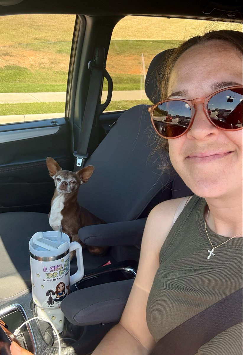 ncgal4me's tweet photo. Found a dog on the side of the road. He made it home 🩷 https://t.co/0lAFtLoUc5
