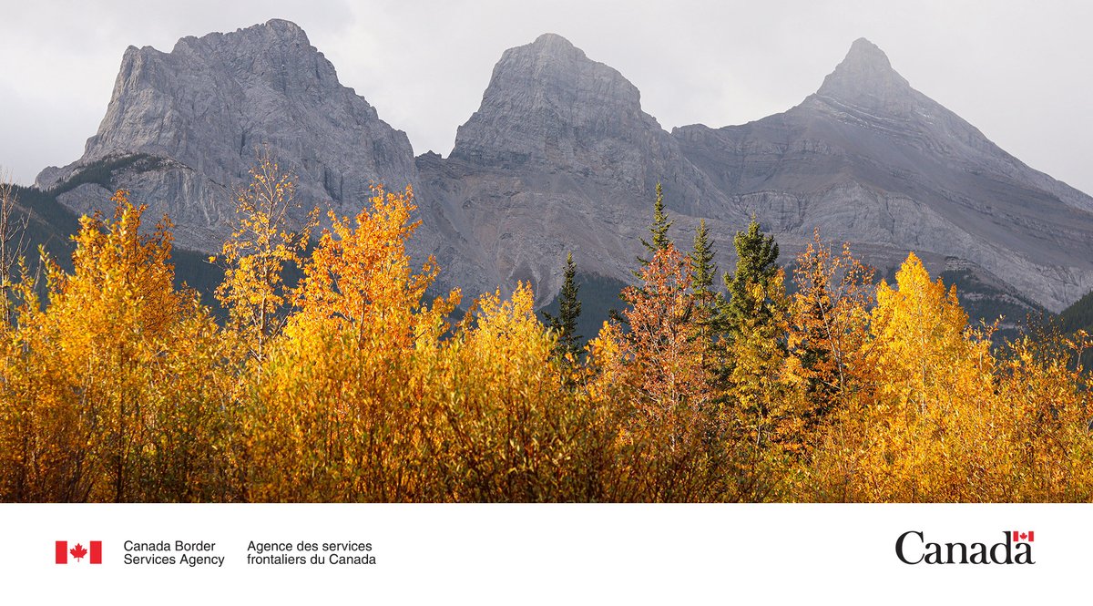 CanBorderPRA's tweet photo. Happy first day of fall! Planning a trip into Canada's #PrairieRegion to take in the colourful changing leaves?

Be sure to check out #CBSA's travel tips and #KnowBeforeYouGo: https://t.co/jsDcxfJwA9 https://t.co/lUxsGEyMjQ