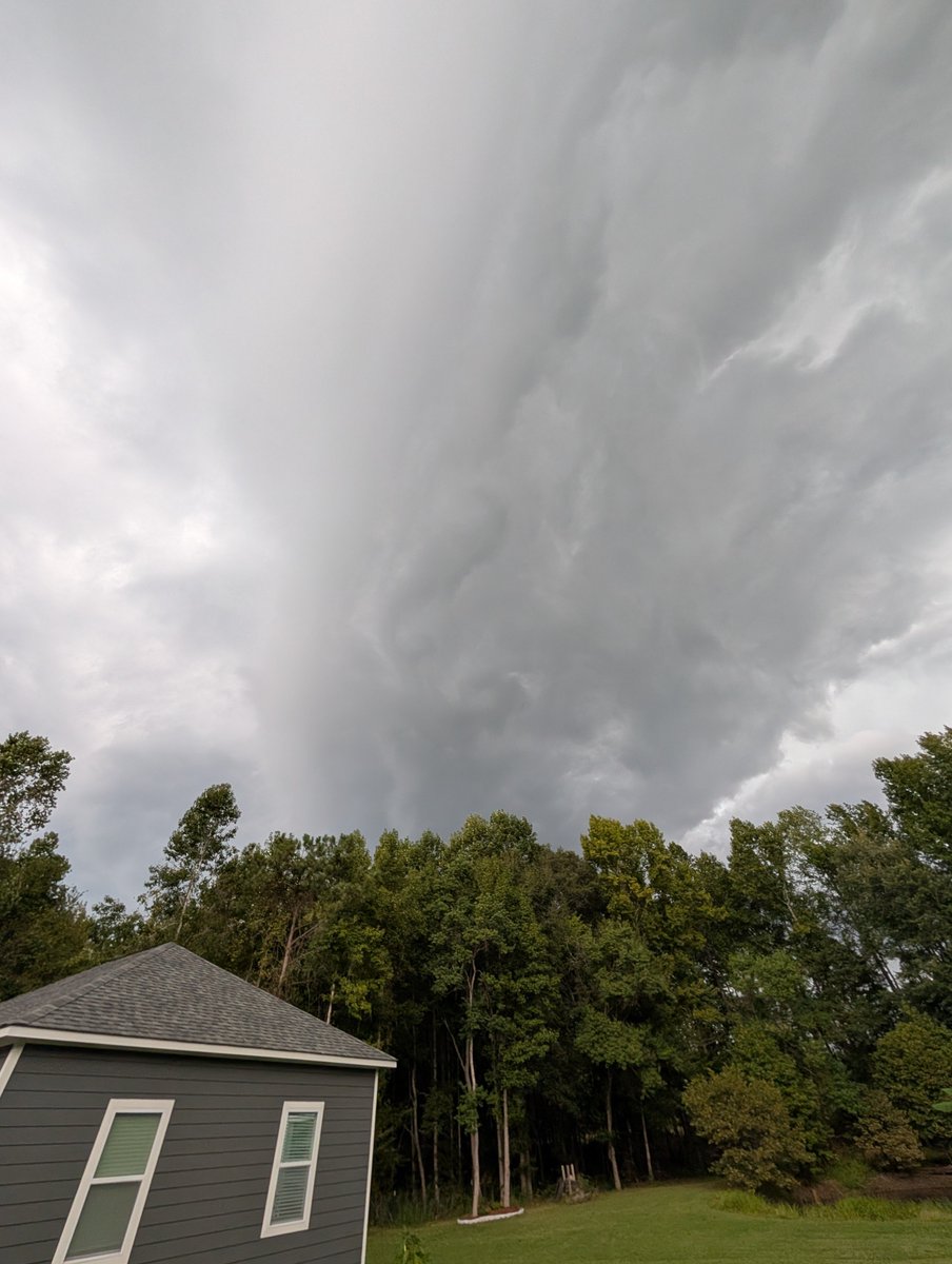 TwistyLensPhoto's tweet photo. Shelf cloud moments ago from my location south of Cusseta Al. @spann @AlabamaWXNet https://t.co/Li87FAJcsB