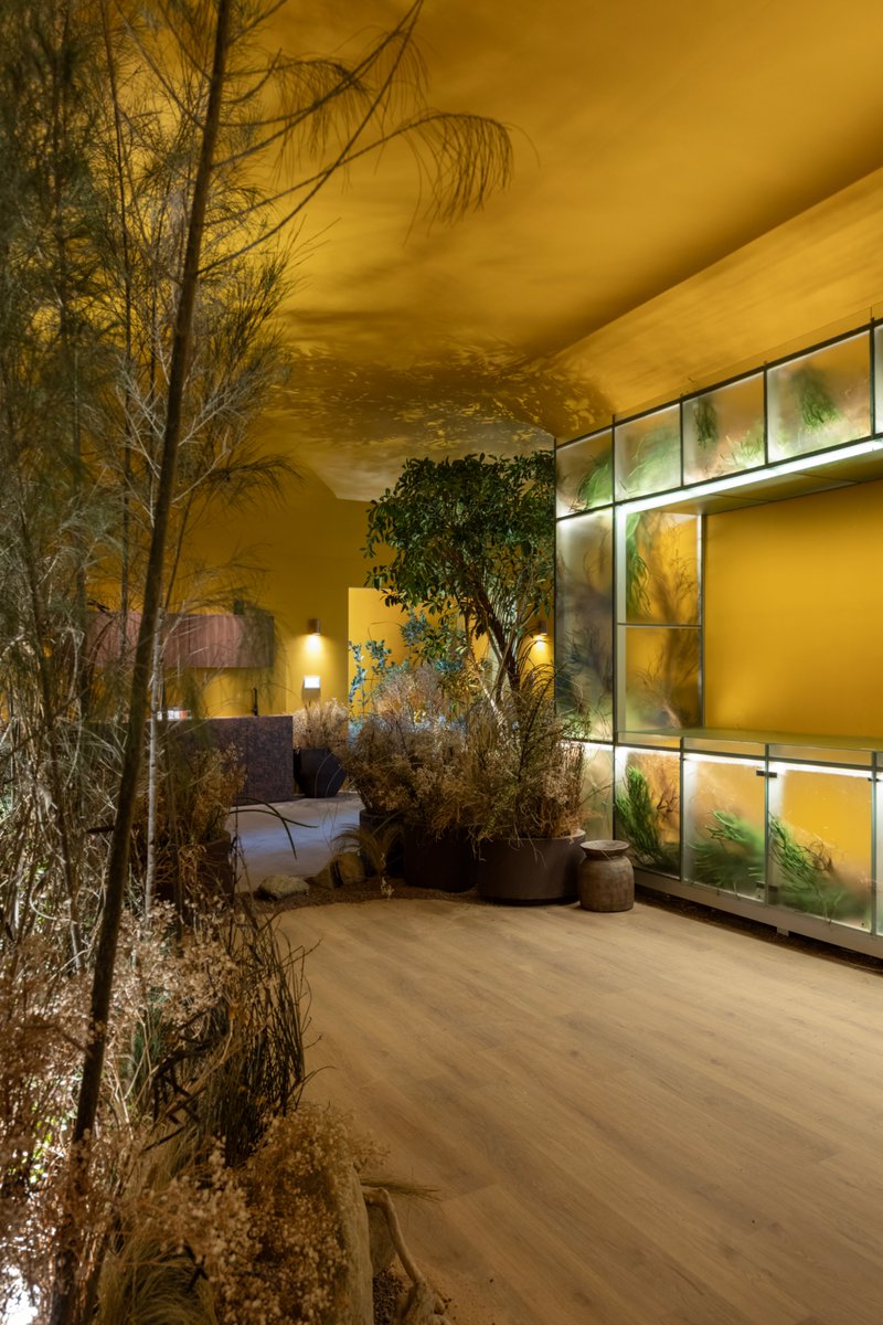 CASACORPERU's tweet photo. Augusta Pastor y Santiago Roose se inspiran en la paleta de Van Gogh para fijar la luz de un momento del día en un espacio cotidiano, con la colección Van Gogh Museum Edition de Teka. #CASACORPerú2026 #CASACORPerú #Arquitectura #Diseño https://t.co/6EaBqQxEdJ