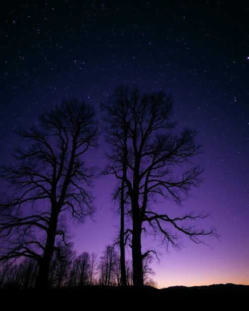 yonaga303's tweet photo. To @narusekamo,
A masterpiece woven from stardust and quiet light, your existence paints the canvas of reality with ethereal wonder. In every fragile breath lies an eternal melody. Keep shining softly through the cosmic dark—for you are, in essence, pure and luminous art. https://t.co/rtoQuEA8ro