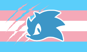kreeeeeez's tweet photo. i made a trans flag for trans people who like sonic the werehog https://t.co/yXzSRECqOo