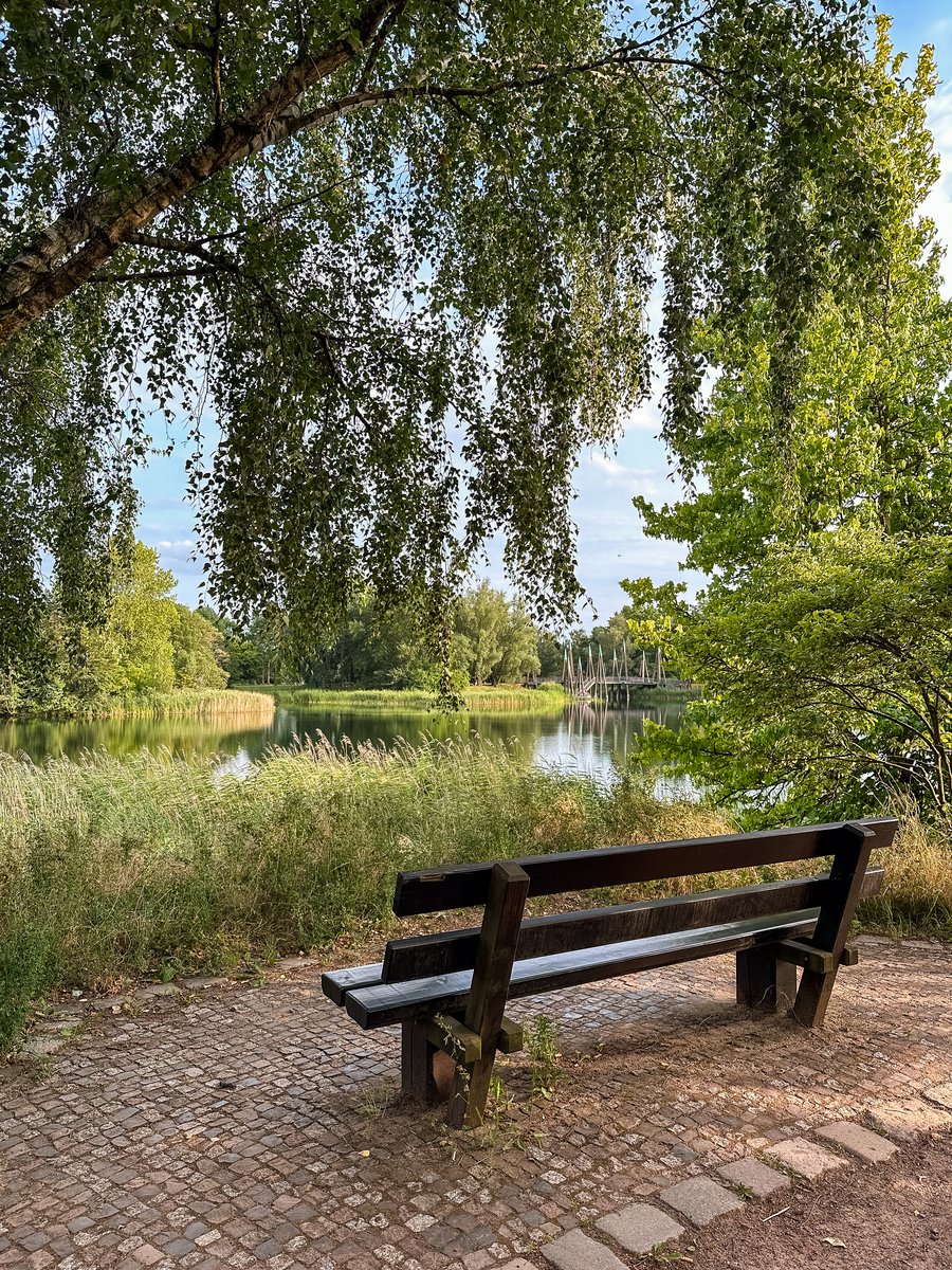 ynk0707's tweet photo. Just had a 10-minute random chat with a kind old stranger at the bus stop — now my whole day feels brighter, tiny little moments hit different sometimes.， https://t.co/y7E2K6fUwf