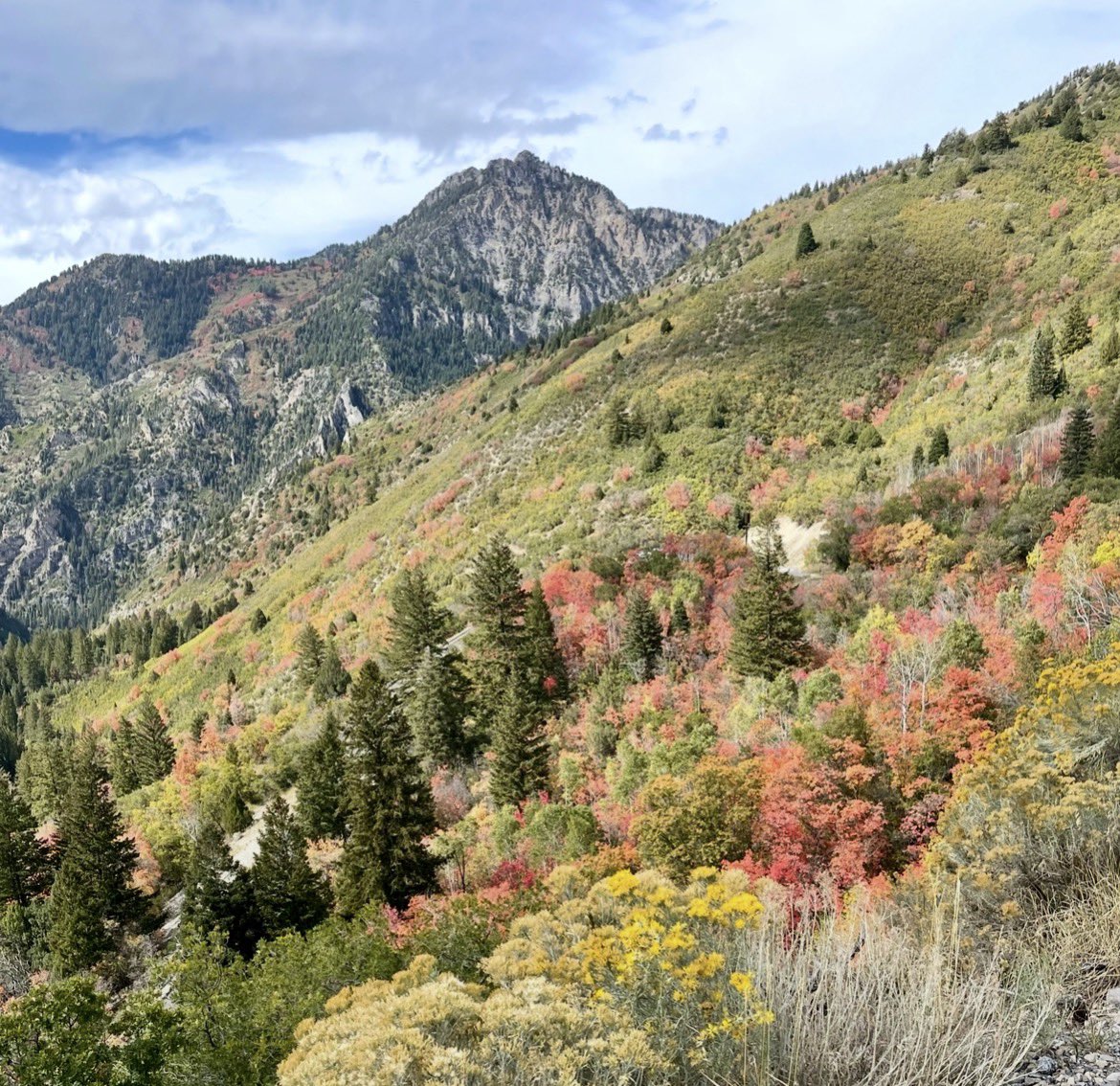 LisaHamilton44's tweet photo. @therobthomson1 @TheEmilySee @therobthomson1 Eddie will never be forgotten. From the mountains above Salt Lake City, Utah. Organ donation is one the best, most selfless gifts a person can give. 💛☀️Supporting you from an NP in SLC. https://t.co/enGsDCKsod