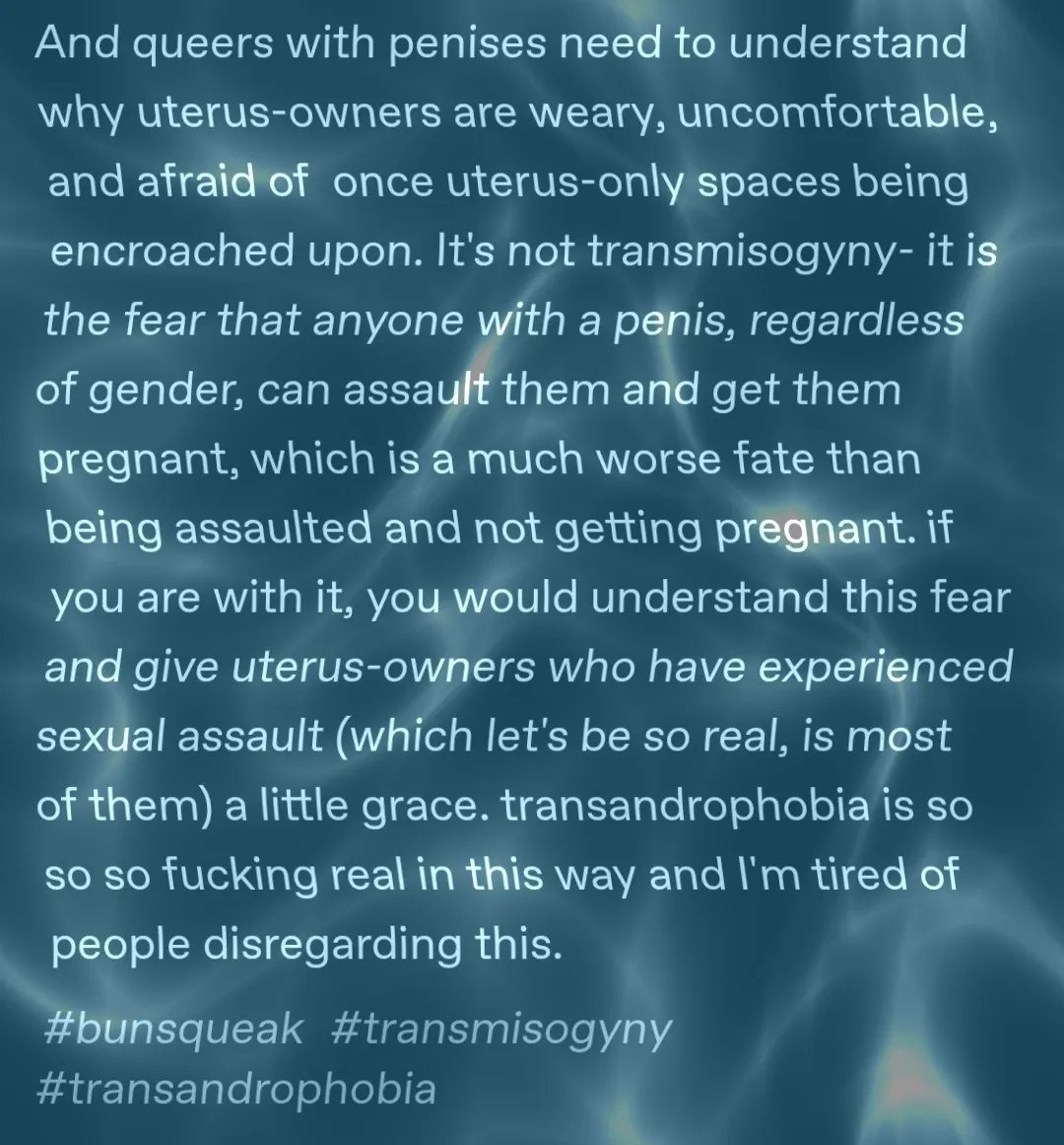 cinnamonmaxxer's tweet photo. the mere concept of a "uterus only space" https://t.co/S5OGA7o5Sy