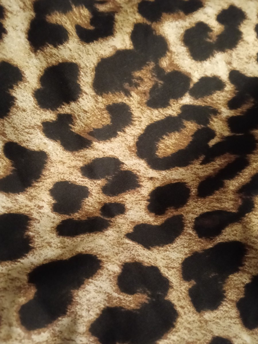 decayingdahlia's tweet photo. i finally have a duvet! its leopardy ♥️🐆🐆 https://t.co/FSoyUc2NYd