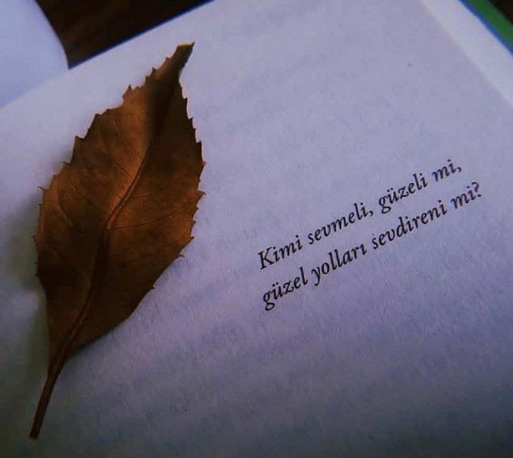 Turer34's tweet photo. Genel anlamda beni seveni... 2. şık https://t.co/CnjVLaxG8z
