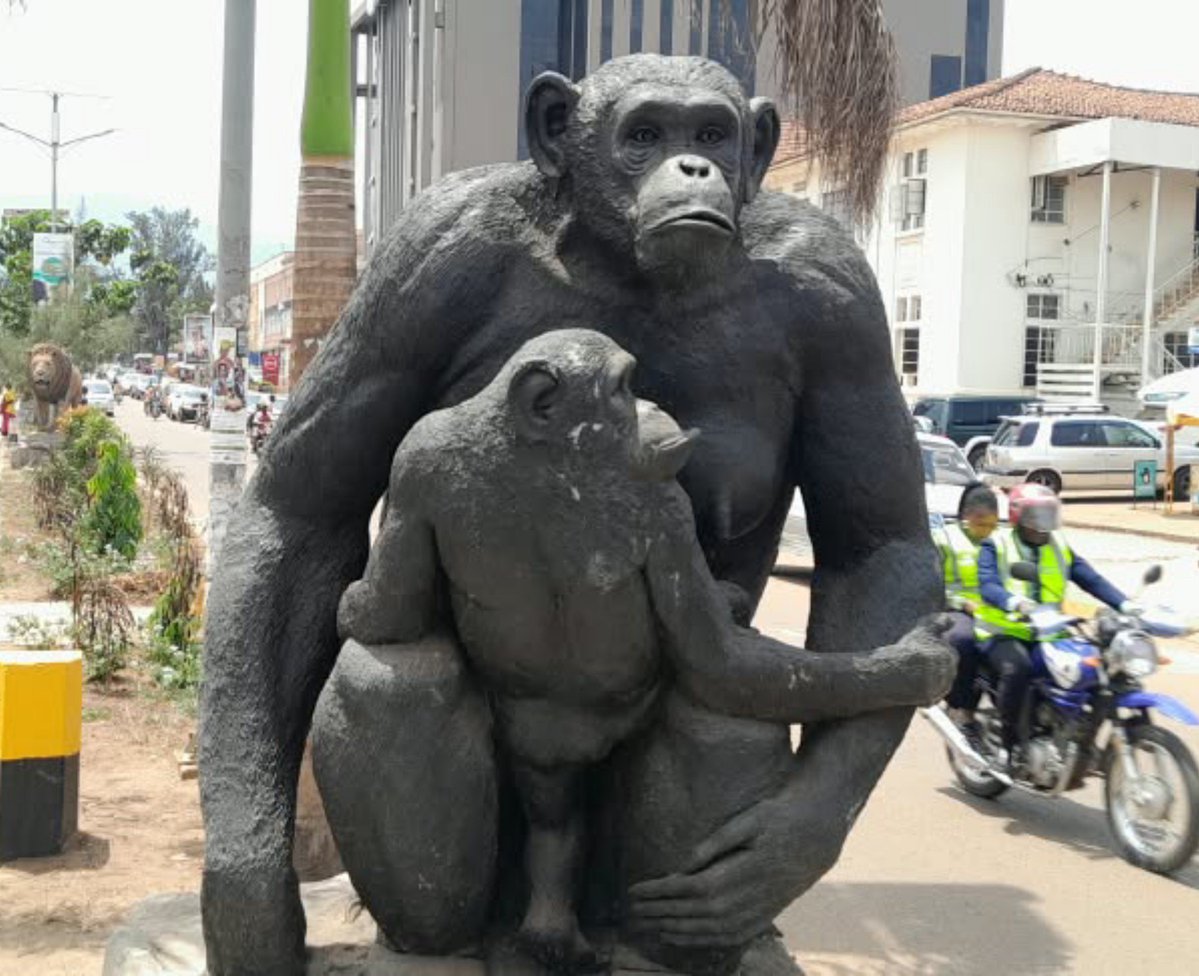 arthur_makayi's tweet photo. 5 DAYS TO GO! 🦍🌍

A mother. A child. A story of care, protection and the future.

Tourism should also inspire the boychild to protect our culture, nature and heritage—and become part of Uganda’s tourism story.

#WTD2026 #Boychild https://t.co/1W3aYlUX8B
