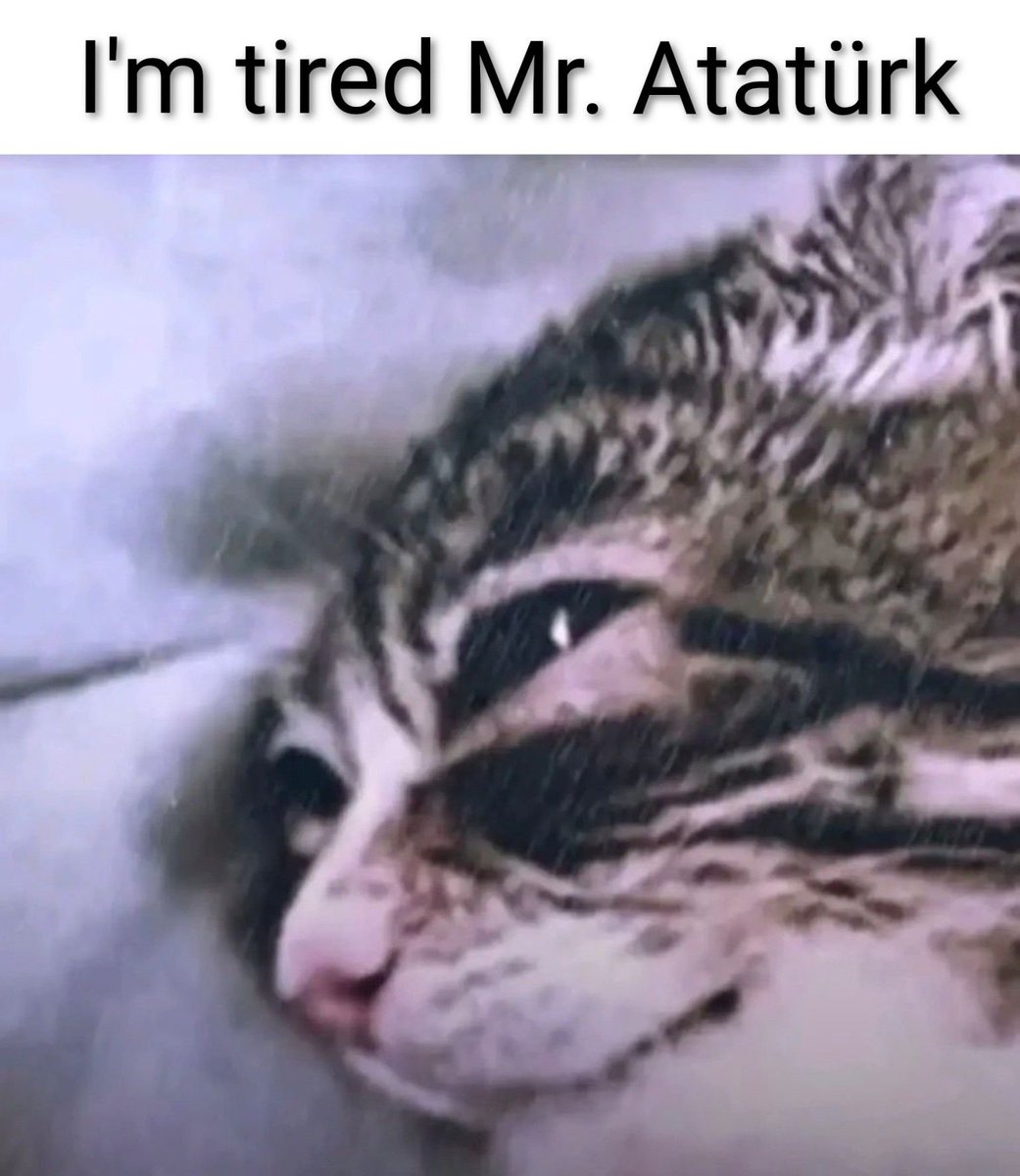 pavlovunkedisi0's tweet photo. https://t.co/Sja6UuyhGI