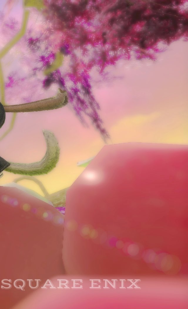 haejil53's tweet photo. #おはミコ #オスッテ
🍎 https://t.co/ILHpc2DCSf