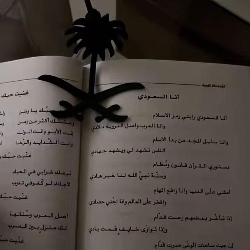 r_wrl5's tweet photo. لو خُّيرت فُي الأوطان مرهُ
لأخترتُ السعودية في كل مره

#المملكة_العربية_السعودية #اليوم_الوطني_السعودي_٩٦ https://t.co/gypJRLX1r8