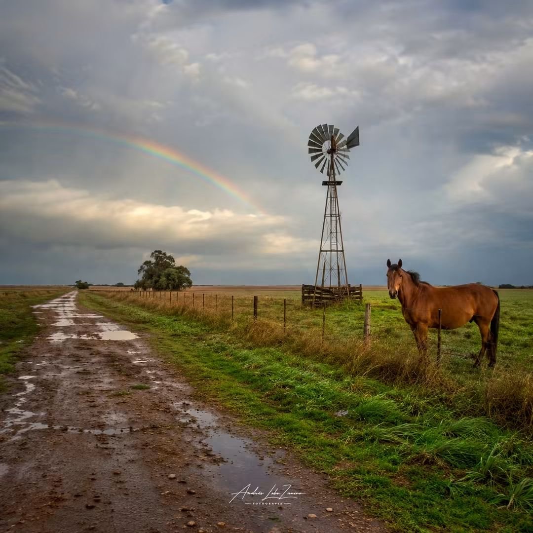 turisargentina's tweet photo. Tiempo de lluvia en 25 de Mayo, Provincia de Buenos Aires 🙌💙🇦🇷

Fotos de Lobo Zunino Fotografía https://t.co/SNDjHaM1SJ