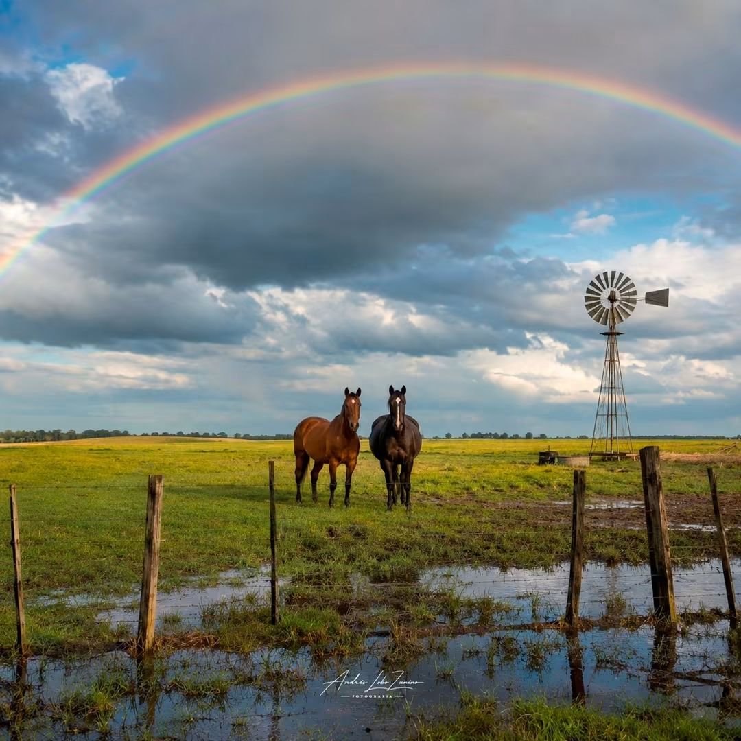 turisargentina's tweet photo. Tiempo de lluvia en 25 de Mayo, Provincia de Buenos Aires 🙌💙🇦🇷

Fotos de Lobo Zunino Fotografía https://t.co/SNDjHaM1SJ