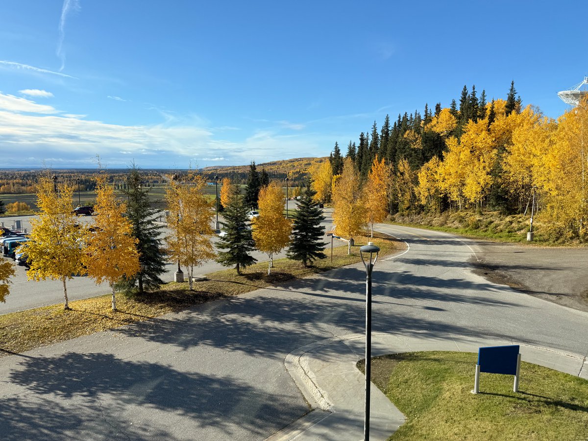 NWSFairbanks's tweet photo. The first day of Fall has provided Fairbanks with a beautiful day, allowing the various colors of the leaves to shine bright! Conditions across the Interior are expected to remain on the drier side, along with a slight warming trend, through the start of the weekend. #akwx https://t.co/Oe9XY8xBdn