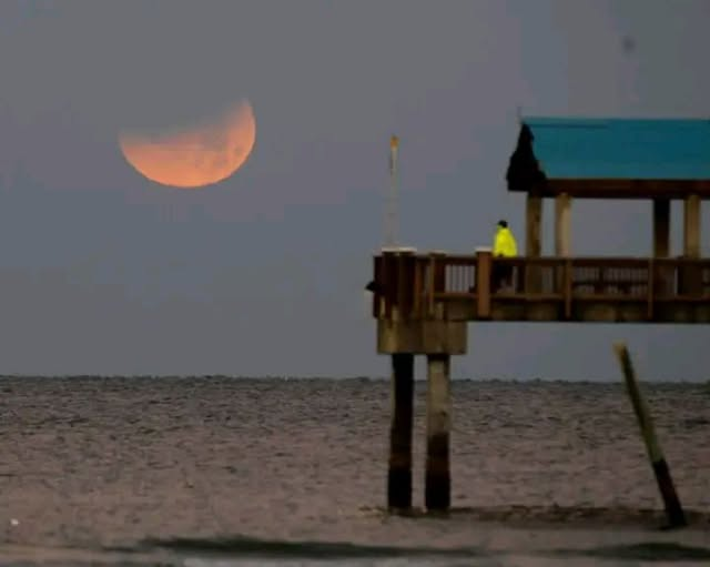 mnagu50's tweet photo. Super Blue Blood Moon view from Pier 60
Credit: Tampa Bay Times https://t.co/1Fmqm4irDc