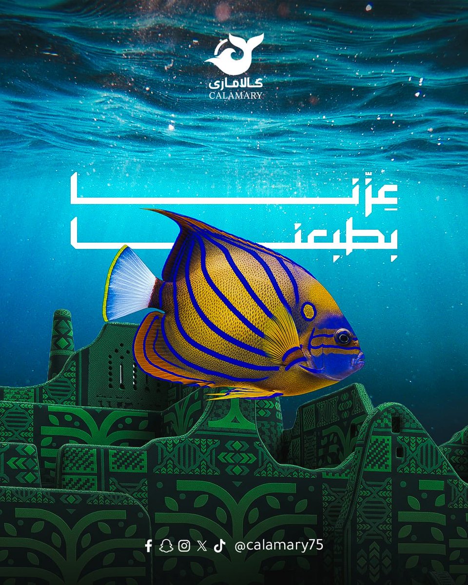 calamary75's tweet photo. من أرض المجد كل عام ووطنا شامخ🇸🇦🤍

#اليوم_الوطني96 #المدينة_المنورة 
#مطاعم https://t.co/kyssIREzQI