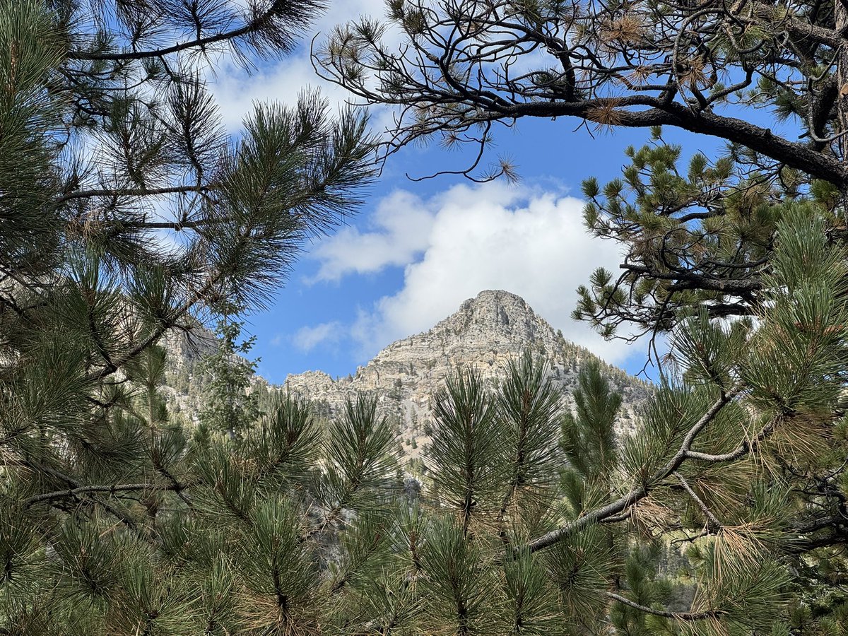 mountainman_mc's tweet photo. Much brighter, and dryer, day today https://t.co/meVSFtECPj