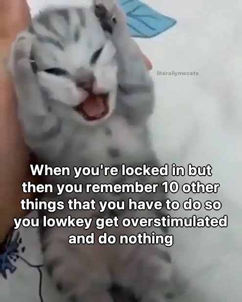 literallymecats's tweet photo. https://t.co/SDKTB1RsvY