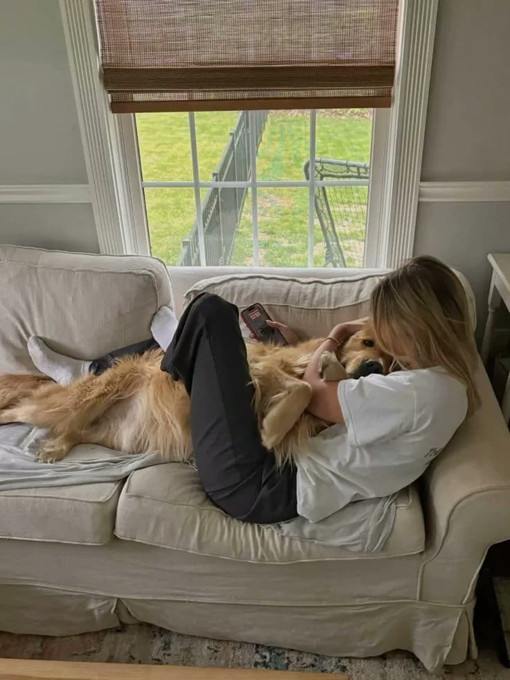 Aline10Muoz's tweet photo. This is the version I can show.
The other version stays locked.
Link in bio
#dogs #K9 #Germany #USA https://t.co/HRF3FmqtfW