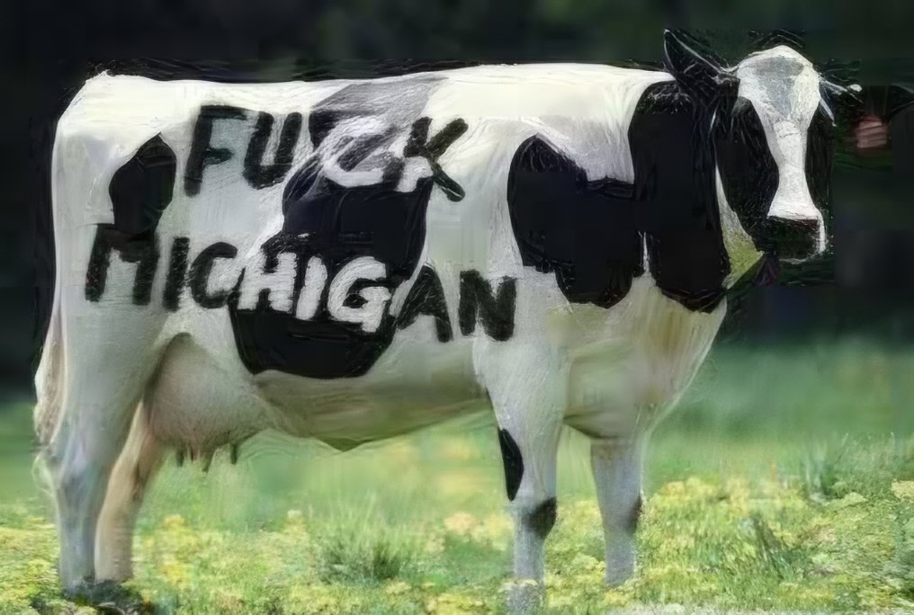 MichiganSucks8's tweet photo. Saw this beautiful animal today! 🐄 #HateMichigan #MichiganSucks https://t.co/ccxChwndIz