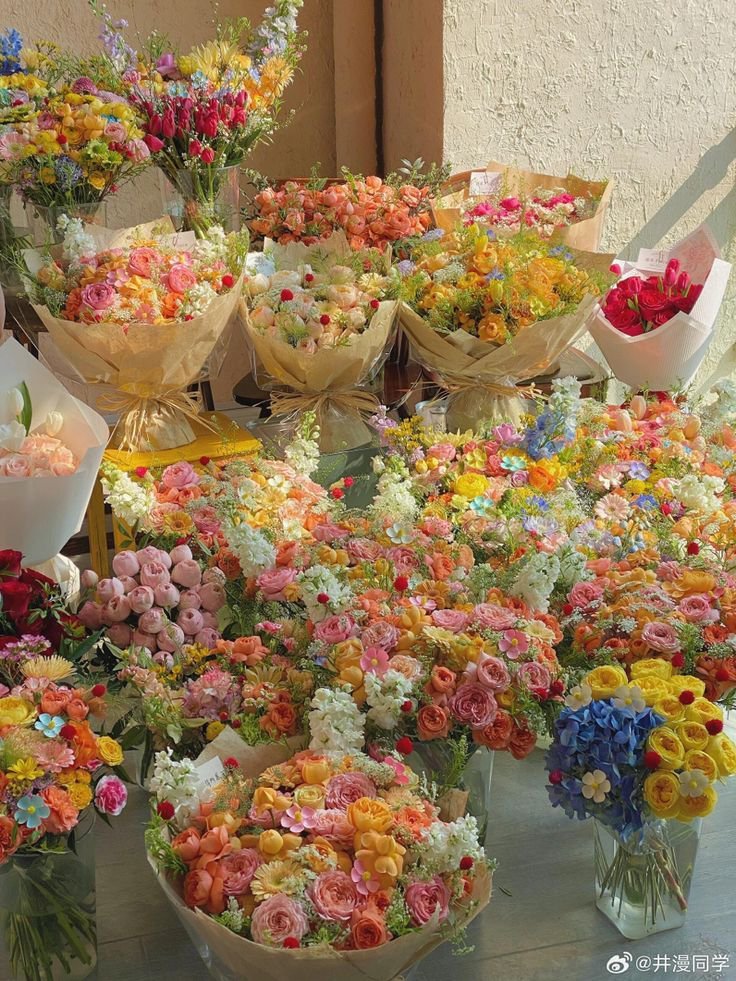 Flowersidmb's tweet photo. https://t.co/xtuCMooUA6