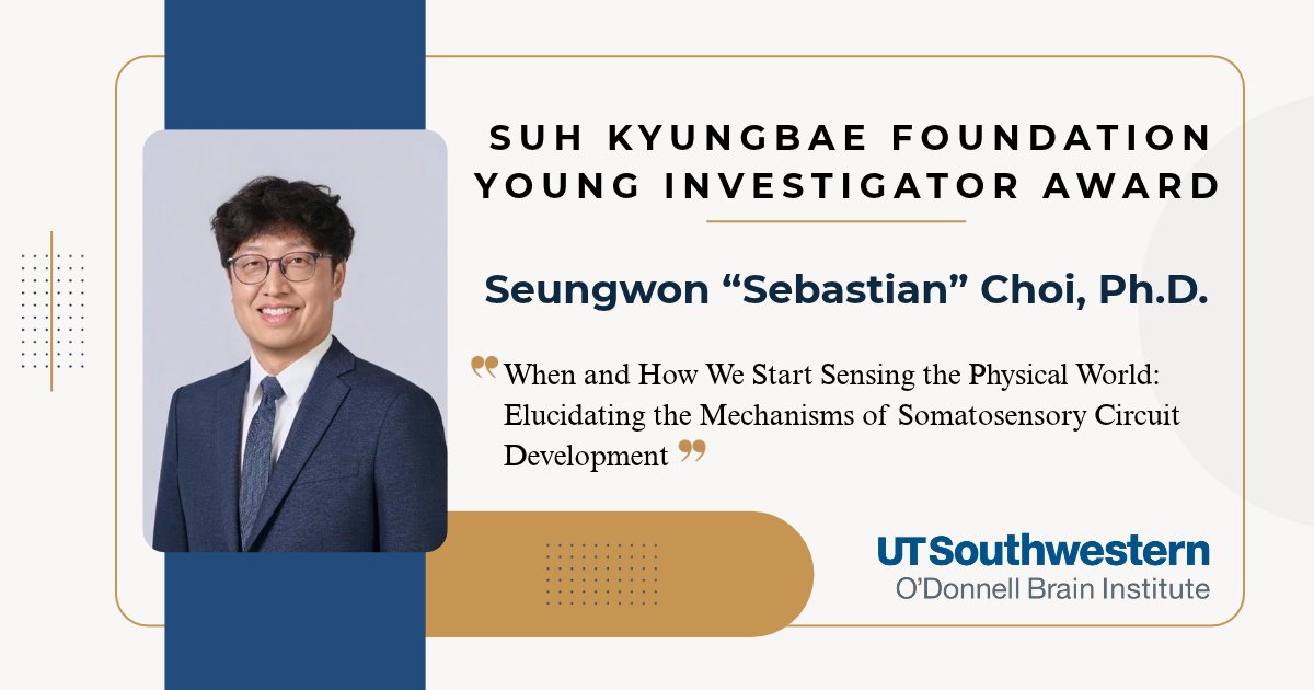 UTSWBrain's tweet photo. OBI Investigator, Sebastian Choi, is a 2026 recipient of the Suh Kyungbae Foundation (SUHF) Young Investigator Award. The award is the most prestigious junior faculty recognition for Korean biomedical scientists. Learn more about Dr. Choi's research: https://t.co/jwKhbWmJOk https://t.co/89l2ncdI1V
