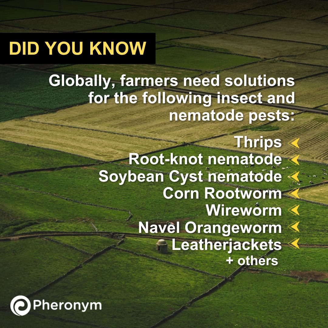 pheronym's tweet photo. Farmers want:
✅ Insect control in the soil
✅ Plant parasitic nematode control
✅ Alternatives to soil fumigants

Pheronym has three products in development to help farmers, utilizing safe, effective nematode pheromones 👉 https://t.co/x3ps3xy81I

#biotech #agtech https://t.co/70JL1AaIm1