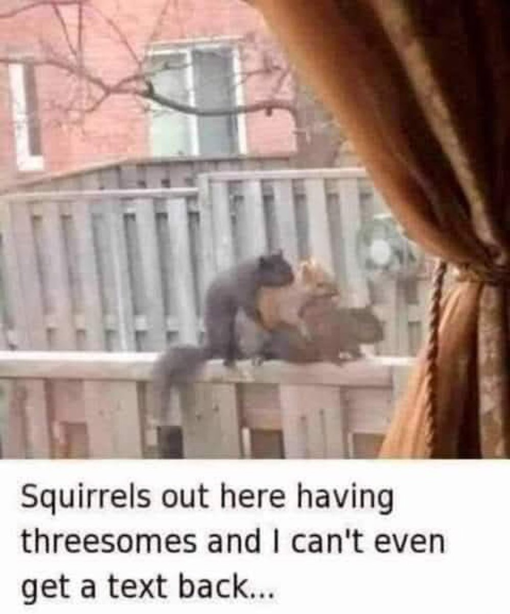 Monkeyjunk11's tweet photo. 😭😭 https://t.co/eyorHXc1pu